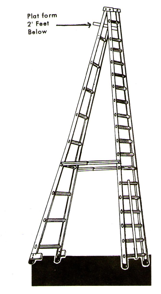 aluminium-ladder-price-list